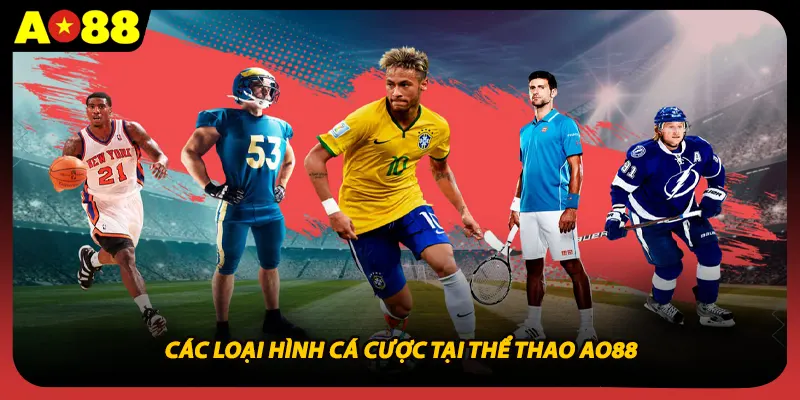 Các loại hình cá cược tại thể thao AO88