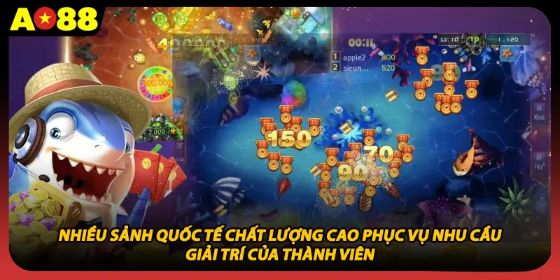 Nhiều sảnh quốc tế chất lượng cao phục vụ nhu cầu giải trí của thành viên